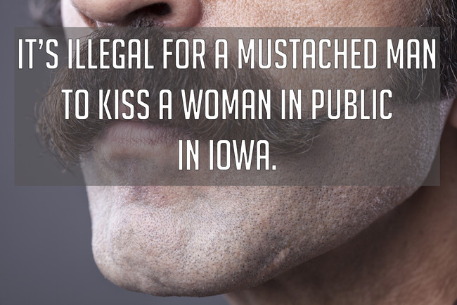 Your High School Teachers Never Told You About These 23 Bizarre U S Facts Viralnova