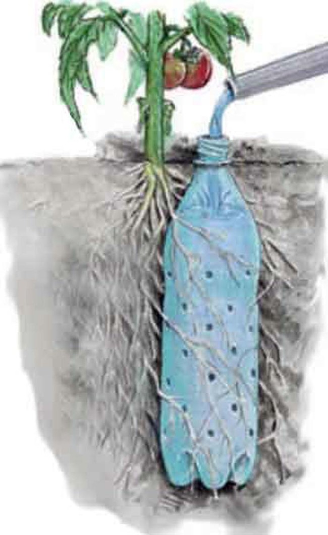 If you live in an arid climate, this planted water bottle trick will help keep your garden efficiently hydrated.
