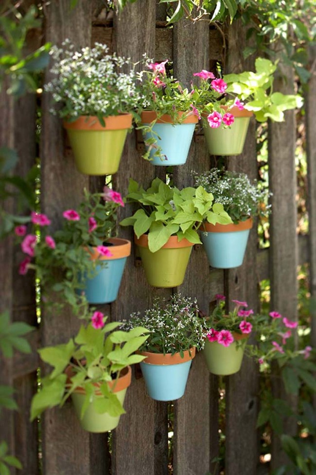 Make a vertical garden with tiny planters mounted on a fence.