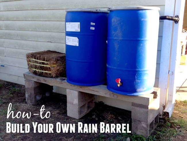 Make a rain barrel to repurpose water. 