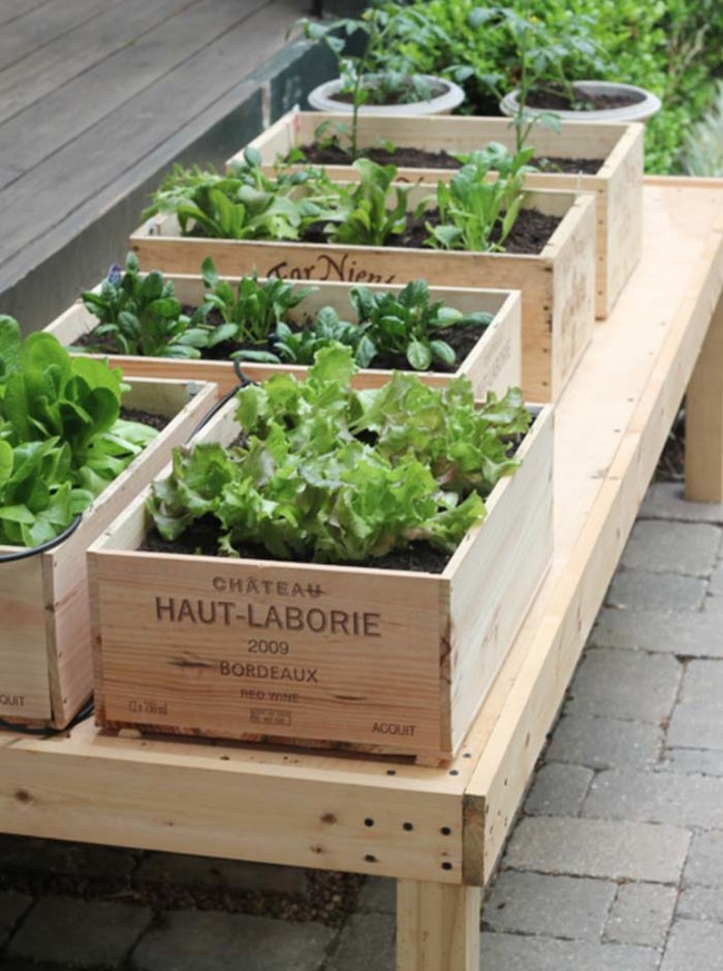 Plant herbs in old wine boxes for a rustic look.