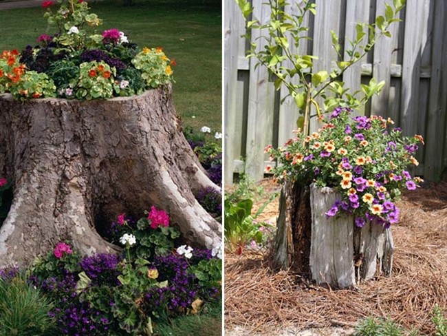 Don't throw away that old tree stump. Turn it into a cool, mini garden instead.