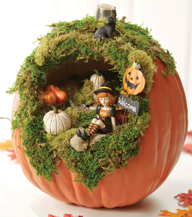 Build a miniature fairy garden.