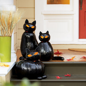 These black cats won't be dishing up seven years of bad design luck.