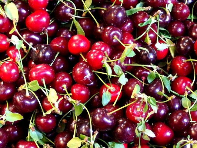 Cerezas