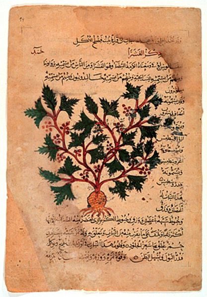The recipe called for wine, garlic, a species from the onion genus, and oxgall to be mixed together and left in a brass vessel for nine nights.