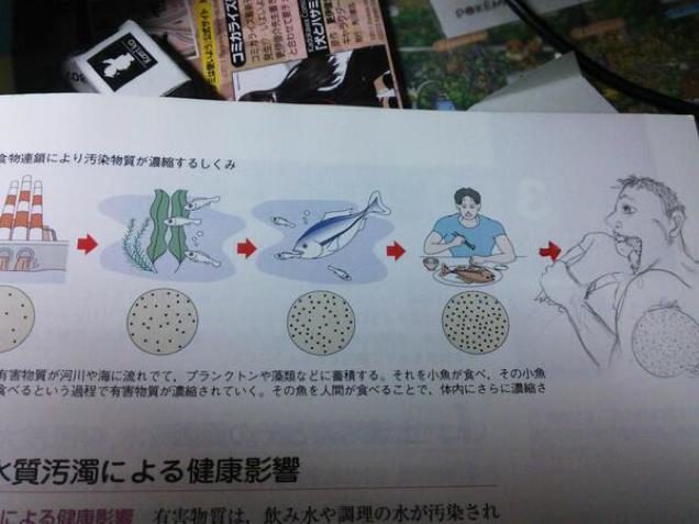 I don't recall learning about that part of the food chain.