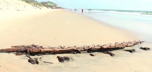 At first, beach goers thought it just logs or driftwood. Then they noticed the pieces were interconnected.
