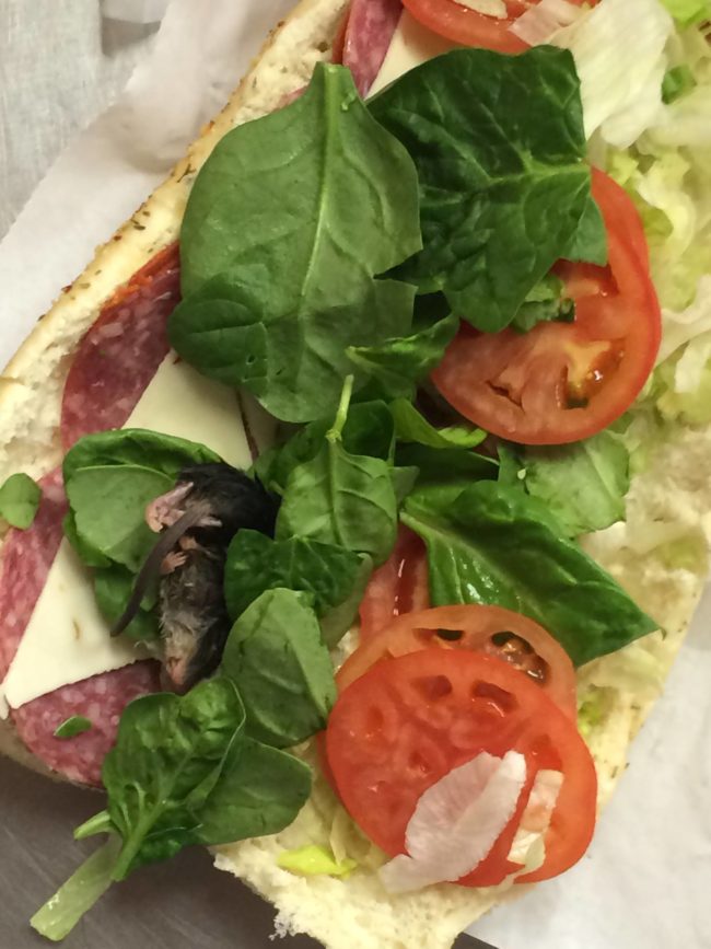 A man at an Oregon Subway was served an extra serving of protein when a dead rodent was discovered in a handful of spinach topping his cold-cut sandwich. Luckily, workers noticed the critter before serving the man his sandwich. After an investigation into the incident, it is believed that the rodent was sealed inside a recently opened bag of spinach.