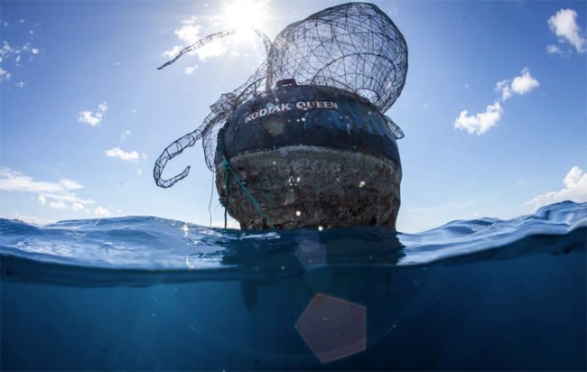 NGO Unite B.V.I., along with artist group Secret Samurai Productions, social justice entrepreneurial group Maverick1000, and ocean education nonprofit Beneath the Waves, all worked together to make this project a reality.