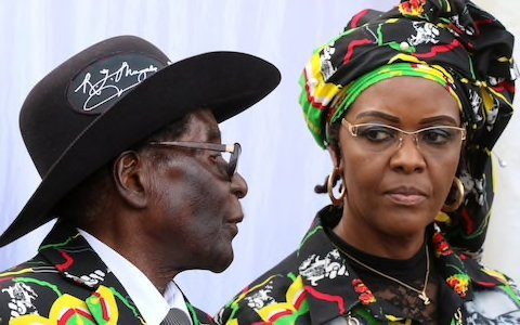 Once considered to be a prosperous country, Zimbabwe’sgovernment has stated that it is necessary to sell wildlife to help support its people and its conservation efforts. Many believe the country's president and first lady are to blame for their frivolous spending.