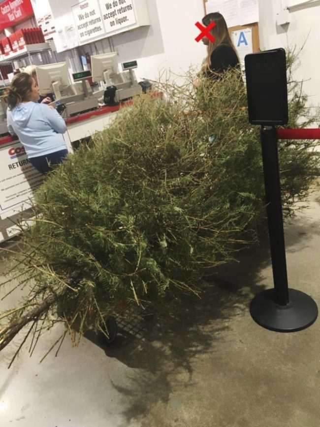 Costco Artificial Christmas Tree Return Policy at Harrison Moss blog