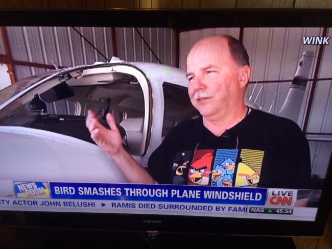 Damn those birds are angry!
