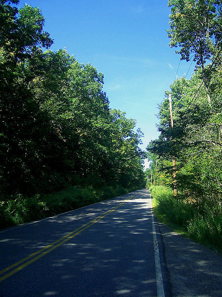 One person even claimed to have encountered two park rangers while camping with friends near Terrace Pond, only to realize they had died in 1939.