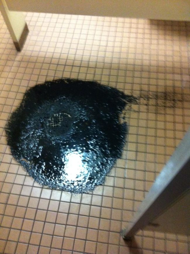 20-examples-of-things-you-really-really-don-t-want-to-find-in-the