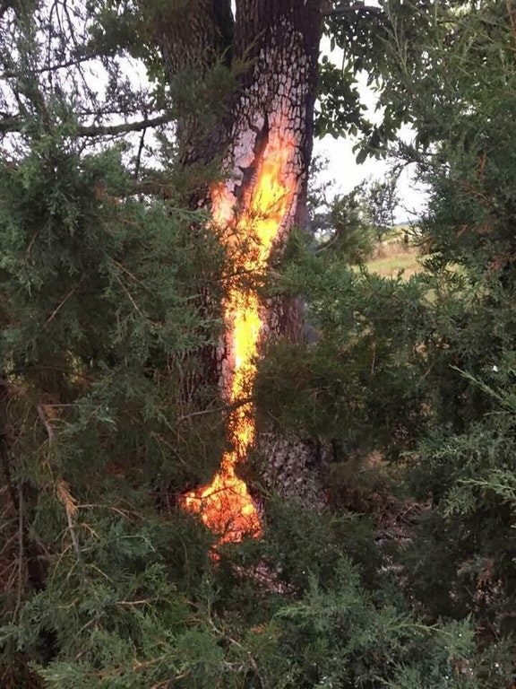 "This tree in Nebraska was struck by lightning and burning afterwards a day later."