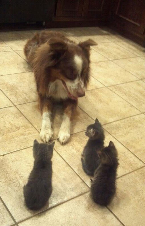 "I told you already, I'm not your mother. Please leave."