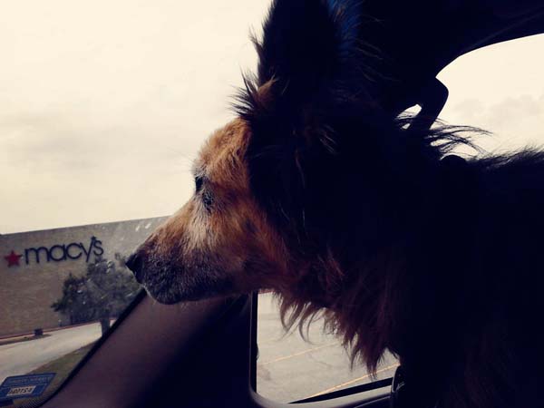 His ride to freedom.