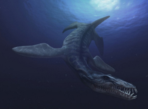 23.)Liopleurodon:这种海洋捕食者以鱼,鱿鱼和其他海洋爬行动物为食。 它比抹香鲸还大,头骨大约占其身体的1/4,里面充满了许多光滑的牙齿。