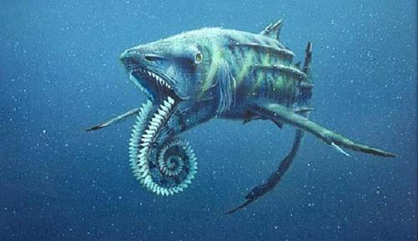 20.)Helicoprion:也被称为“螺旋锯”,这种鲨鱼状的软骨鱼出现在石炭纪晚期。 它存在的唯一证据是三角形牙齿的卷曲线圈。 一些科学家认为它是用来磨碎贝壳的,而另一些科学家则认为它是一种武器。