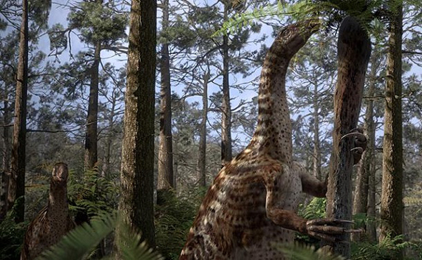 10.)Therizinosauridae:或“收割蜥蜴”,可能在蒙古,中国和美国发现。 由于它们的脖子长,肚子鼓,四趾脚和嘴巴喙,科学家不确定它们的部位是属于一种还是多种。