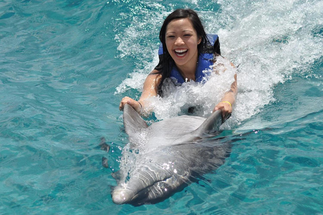 Dolphin - United States, Mexico, Australia, and many other countries.