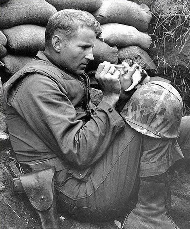 An American soldier feeds a kitten after its mother was killed during the Korean War in 1953.