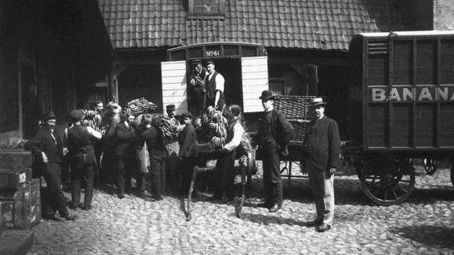 1905年-挪威首次装运香蕉。