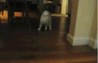 Casual entrance.