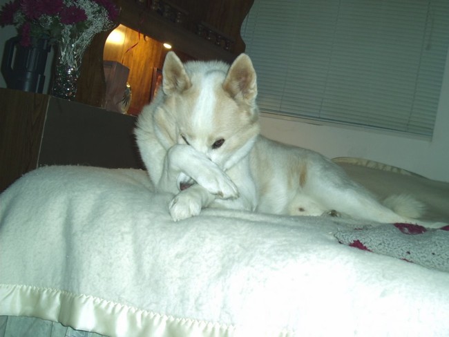 "Odor-Eaters: ever heard of 'em?"