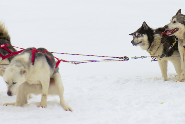 "Dude, what have you been eating?"