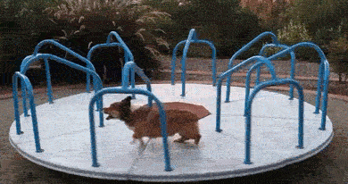 Go, go, go!