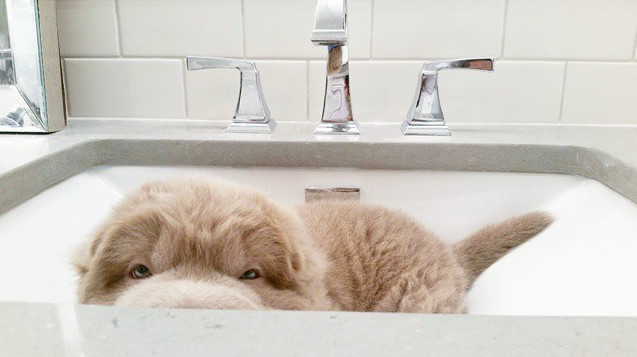 "Bath time, please!"