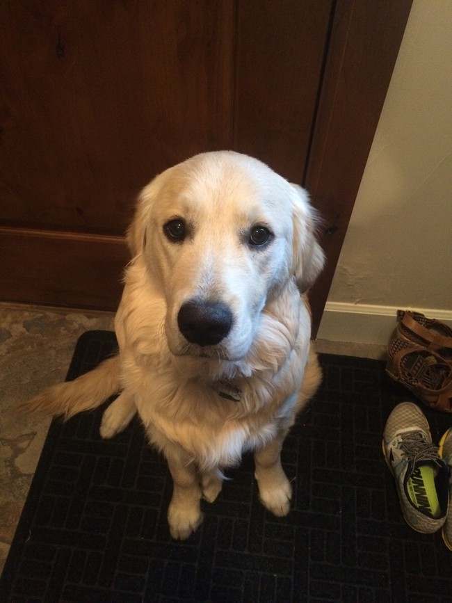 "Leaving again? But you just did that yesterday!"