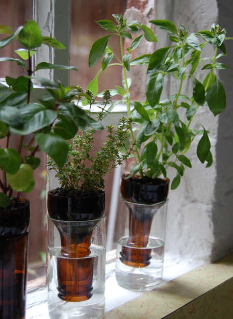 But you can also turn them into mini gardens.
