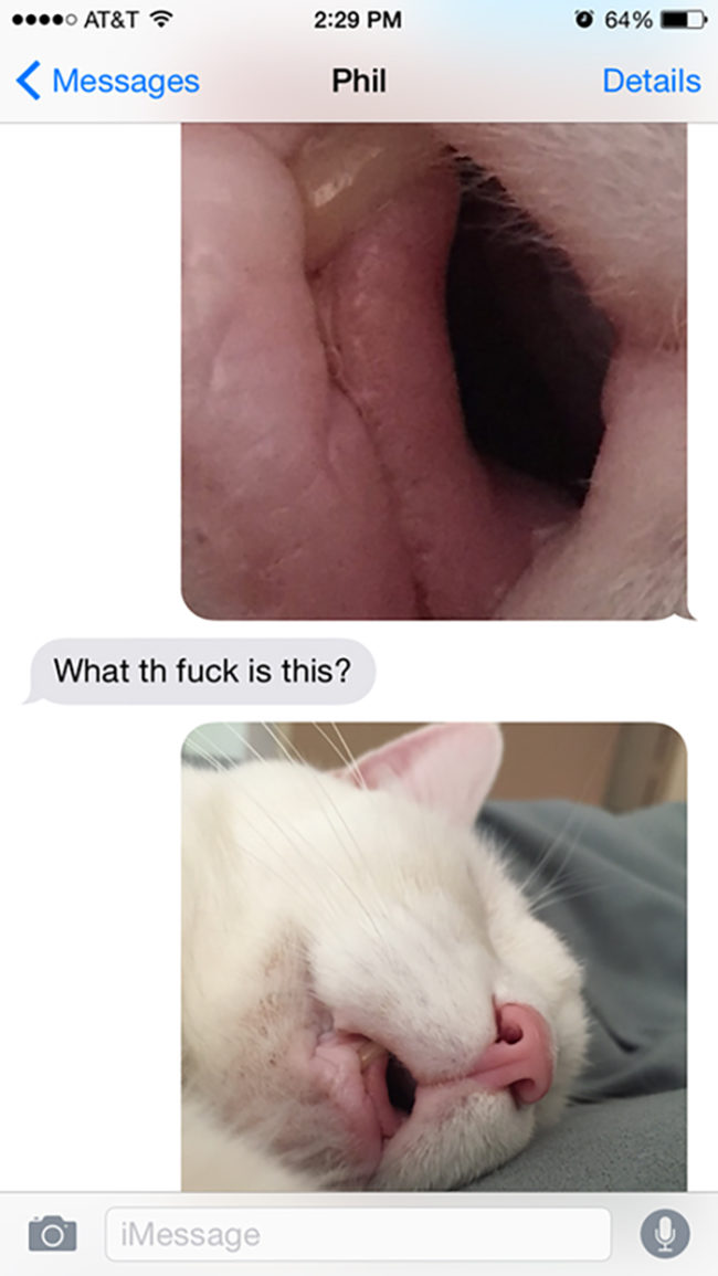 "Sending weirdly cropped photos to my brother." - largadeer
