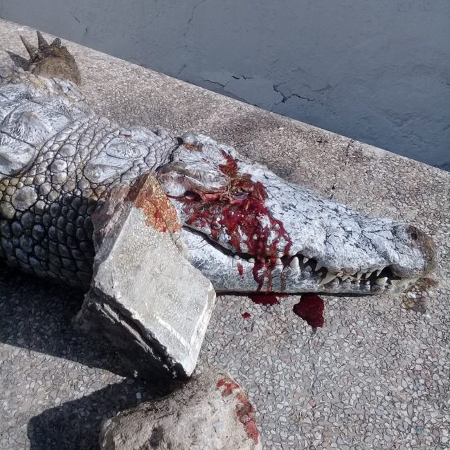 Ennaifer says that although they have signs and guards, these brutal attacks still happen.