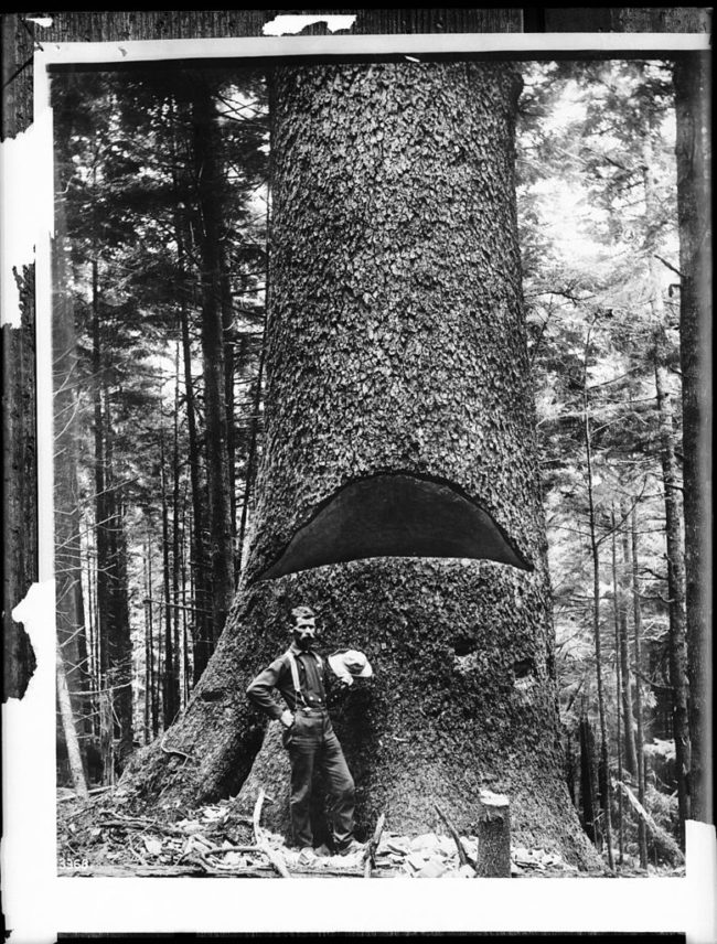 The Jumping Frenchmen of Maine were lumberjacks who exhibited a rare and unknown disorder in the 1800s.They basically obeyed any command given suddenly, no matter what it was.Nobody knows for sure what causes it.
