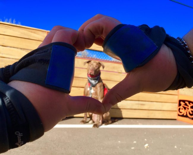 And he's always there to offer a supportive paw."I am so blessed to have him," she said. "All the rehab/physical therapy and other therapies were easier this time with him by my side. Thank you, Colt."