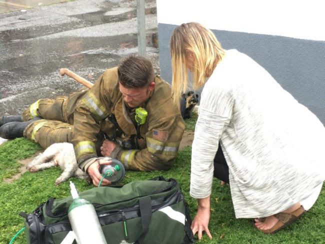 Klein didn't waste any time performing CPR on Nalu, including mouth-to-mouth resuscitation.