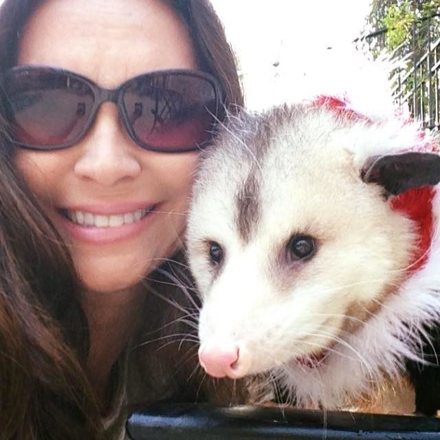 That's cute and all, but Opie had other plans.