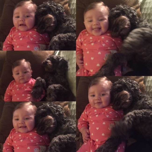 It seemed like the worst would happen to little Viviana, but her dog, Polo, was there with her, covering her left side and taking the brunt of the flames.When emergency responders finally reached them, the brave dog had passed away. "He was my first baby. I miss him so much still," said Poremski.