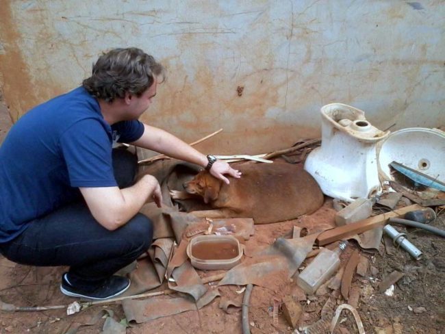 When the Animal Protection Organization arrived, it was clear that he was desperate for affection.