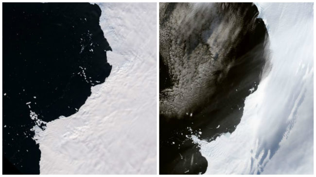 Glaciers along the Bellingshausen Sea coast of western Antarctica have been shrinking for at least four decades, likely because of warm ocean water affecting the grounding lines--the point at which glaciers start to float.Mass loss from Antarctica has been strongly linked to changes in these lines.