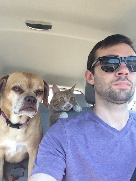 This cat should have given some of its caffeine to its doggy pal.