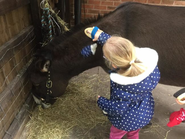 Her first words were said on a visit to the donkey. She told her fuzzy best friend, "I love you, Shocky."