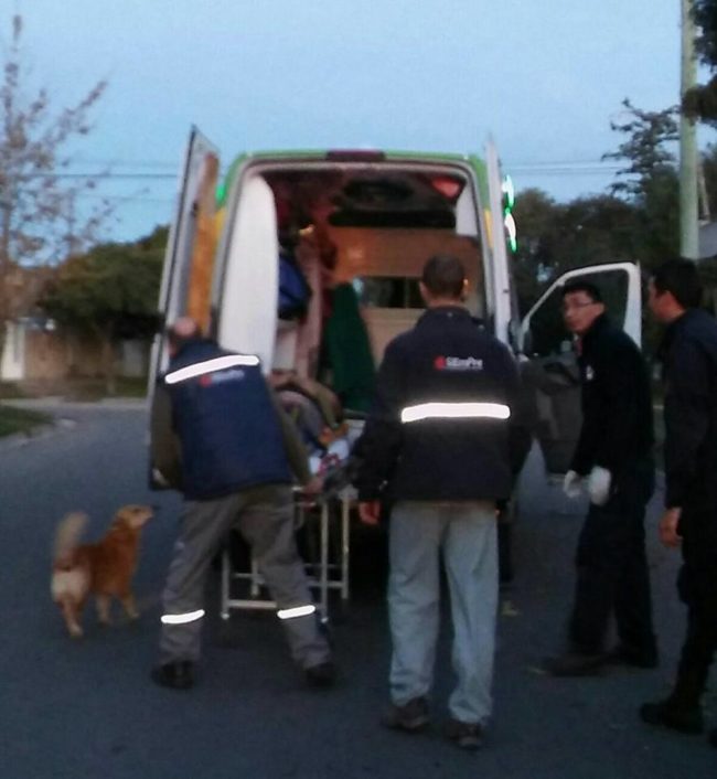 He even tried to jump in the ambulance to take the ride to the hospital together, but the other humans foiled that plan.