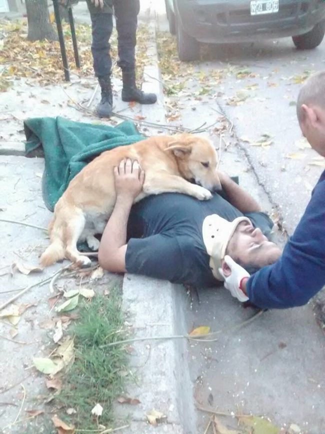 Someone called for help, but Tony stepped in until they arrived, hugging his best friend and refusing to let go.