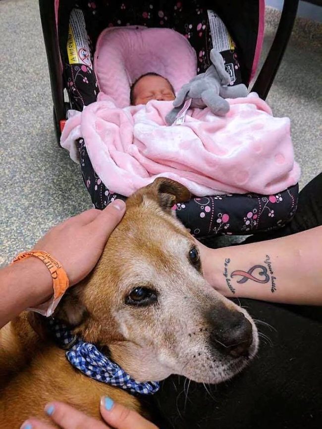 Around seven months into the pregnancy, Rocky's health began to fail, but he stayed alive long enough to meet his brand new baby sister. "He sniffed her and placed his head near her," said Clark. "It was beautiful and I cried."