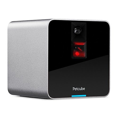 With the Petcube Camera, you can have two-way communication with your dog to make sure that when dad's away, the dogs won't play (not too hard, anyway).
